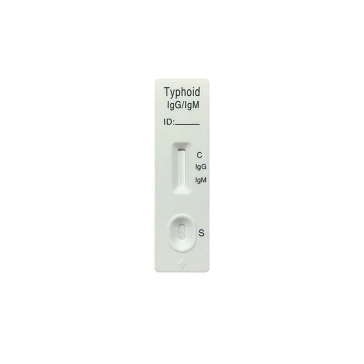 Typhoid IgG/IgM Rapid Test Self-Test
